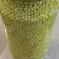 تخم حلزون برای ترمیم صورت
