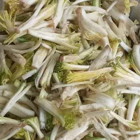 ترشی کنگر وتره