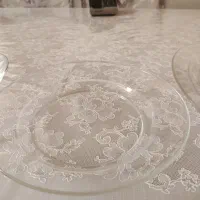 سرویس  پذیرایی سرو غذا