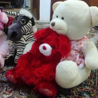 عروسک نو و سالم