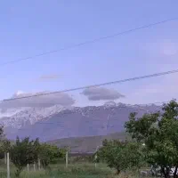 فروش-فوری-باغ