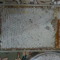 عسل|خوردنی و آشامیدنی|بانه, |دیوار