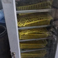 دستگاه جوجه کشی ۲۱۰ تایی