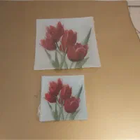 خیار خوری میوه خوری ۶ نفره