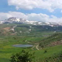 باغچه تک درخت