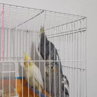 سه تا عروس پدرمادر و بچه