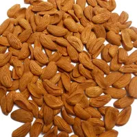 خرید و فروش بادام به قیمت تجاری