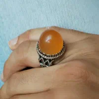 فقط برای فروش فقط فقطط