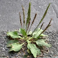 راهنمایی