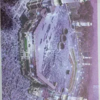 فیش عمره