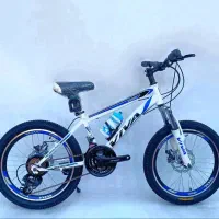 دوچرخه 20 ویوا رنگبندی کد343030(چهارراه حافظ)