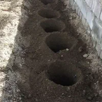 چال کنی ، سمپاشی