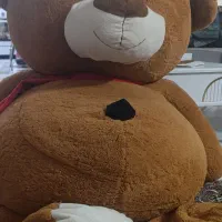 خرس بزرگ