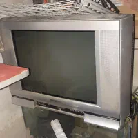 تلویزیون