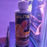 بلک واتر عصاره برگ کاتاپا