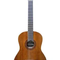 گیتار مدل SEVEN MZ4