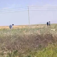اجازه-زمین-کشاورزی-تا-8-هزار-متر-یوسف-آباد