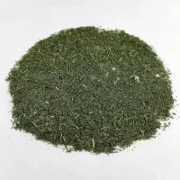 شوید خشک سبز