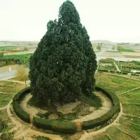 طبیعت گردی