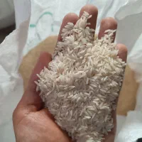 برنج محلی ایدنک