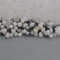 چراغ ریسه هفت رنگ