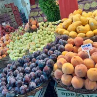راه اندازی صفر تا صد میوه فروشی طراحی ومشاوره