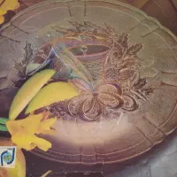 میوه خوری دو سایز