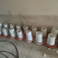 تجهیزات مرغداری