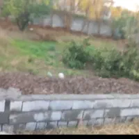 قطعه-باغچه-200-متری-دنج-داخل-بافت-روستا