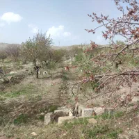 باغ 257 متر اسکو