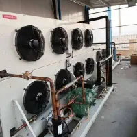 سردخانه میوه و مرکبات