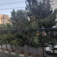 اجاره واحد ۷۰متری تک خواب اداری / جمهوری ،مرکزشهر