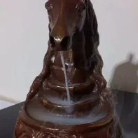 جاعودی اسب