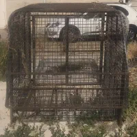 باربند وانت مسقف