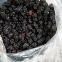 گیلاس خشک الموت
