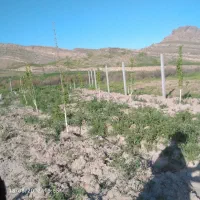 به این شماره تماس بگیرید