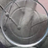 سینی مایکروفر مارینکس
