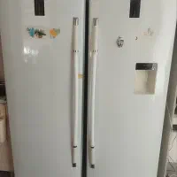 یخچال دو قلو لیونیکس