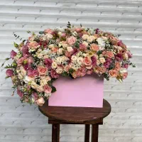 اجرای تخصصی همه نمونه ها