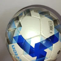 توپ چمنی اصل