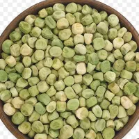 خشک کردن و بوجاری نخود فرنگی و باقلا بذری