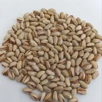 پسته اکبری