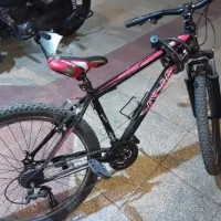 دوچرخه  ویوا