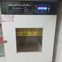 دستگاه جوجه کشی