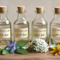 عرقیجات بَرز‌‌ُک