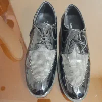 کفش مجلسی