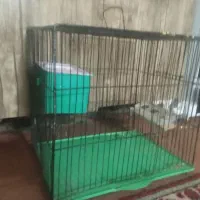 فروش قفس نو