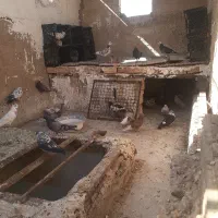 ۳۰تایجایی پرشی دونه ای۱۲۰ حراجه