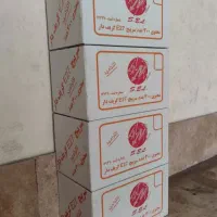 سرپیچ لامپ
