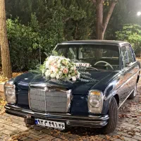 تشریفات مجالس با مناسب ترین بودجه و بهترین کیفیت